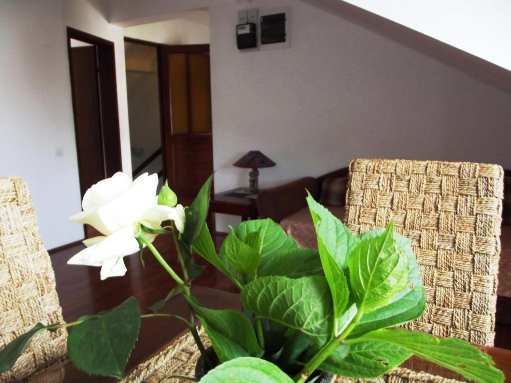 Apartments Budva Center Zimmer foto